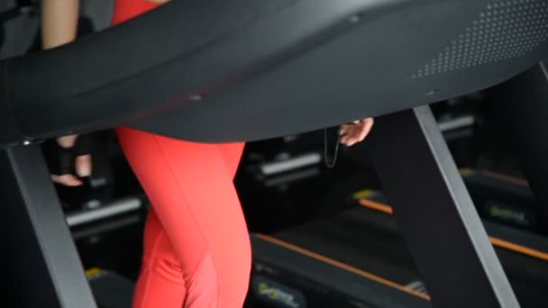 Asiático Deportivo Mujer Entrenamiento Gimnasio Entrenamiento Video — Vídeo de stock