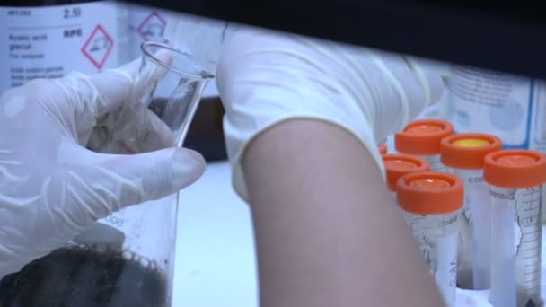 Cientista Sexo Masculino Trabalhando Laboratório — Vídeo de Stock