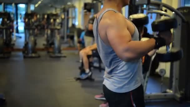Πορτρέτο Της Μυϊκής Ασιατικής Κατάρτισης Άνθρωπος Στο Γυμναστήριο Προπόνηση Σωματικού — Αρχείο Βίντεο