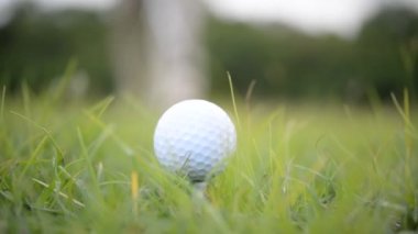 Erkek golfçü çimenli alanda golf oynuyor