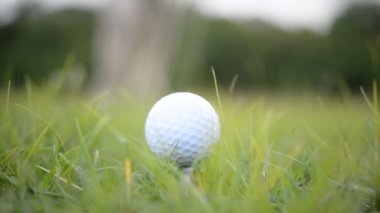 Erkek golfçü çimenli alanda golf oynuyor