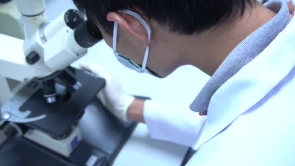 Male Scientist Working Laboratory — Stock Video