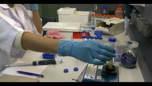 在实验室工作的女科学家 — 图库视频影像