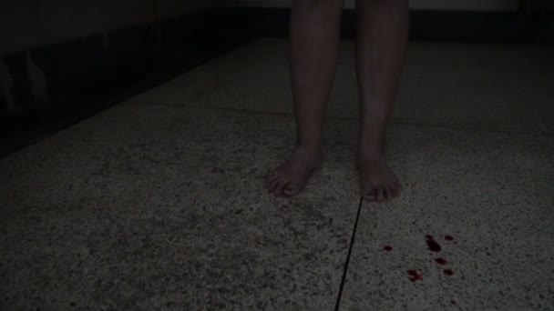 Retrato Mulher Asiática Compõem Fantasma Rosto Com Sangue Cena Terror — Vídeo de Stock