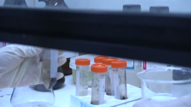 Erkek Bilim Adamı Laboratuarda Çalışıyor — Stok video