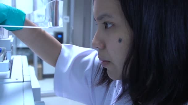 Kvinnlig Forskare Verksam Laboratorium — Stockvideo