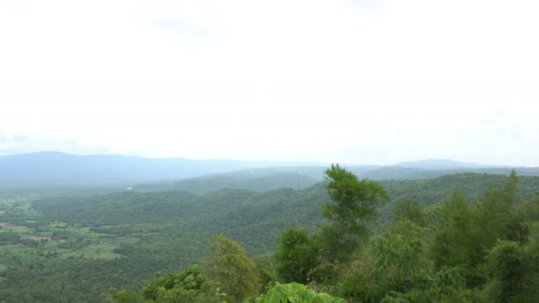 Luftaufnahme Des Regenwaldes Bei Tag — Stockvideo