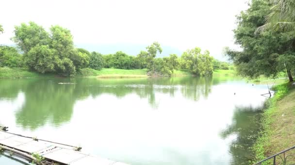 Vista Del Lago Con Puente Madera Durante Día — Vídeo de stock