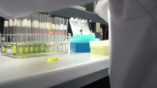 Ženský Vědec Pracující Laboratoři — Stock video
