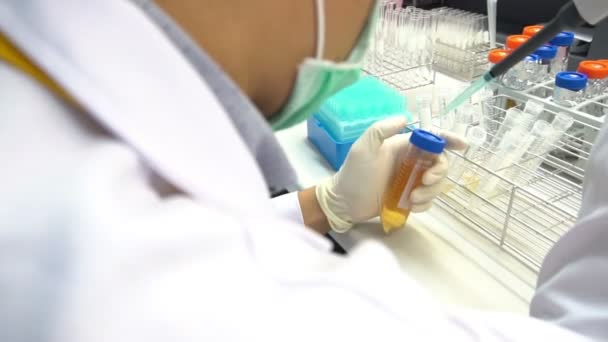 Female Scientist Working Laboratory — Stock Video