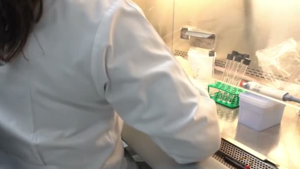Cientista Trabalhando Laboratório — Vídeo de Stock