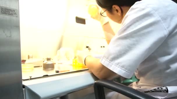 Female Scientist Working Laboratory Making Experiments Research Develop Products — Stock Video