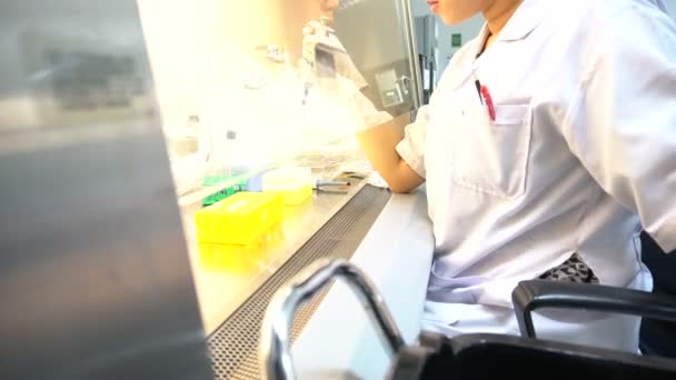 女性の科学者が実験室でテストを作る — ストック動画