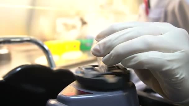 女性の科学者が実験室でテストを作る — ストック動画