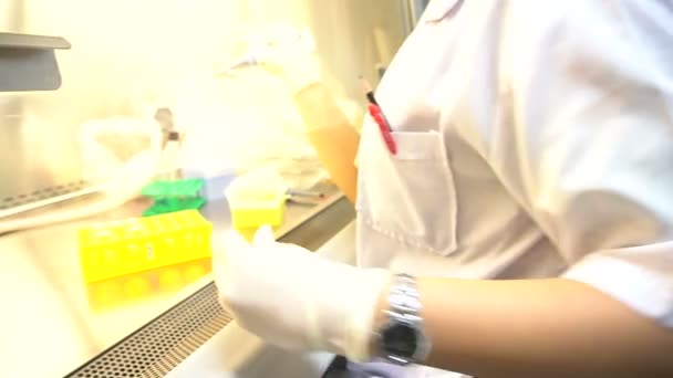 Científica Femenina Trabajando Laboratorio — Vídeos de Stock