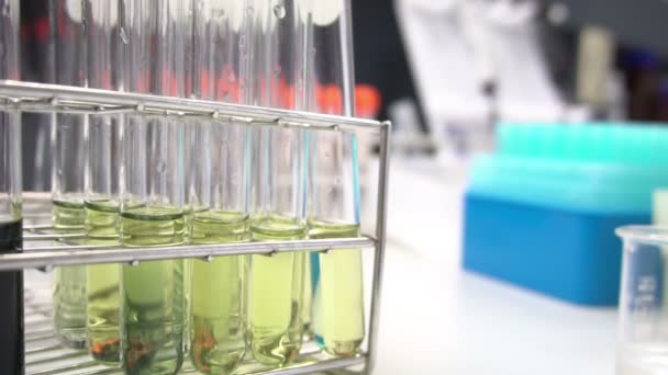 Female Scientist Working Laboratory — Stock Video