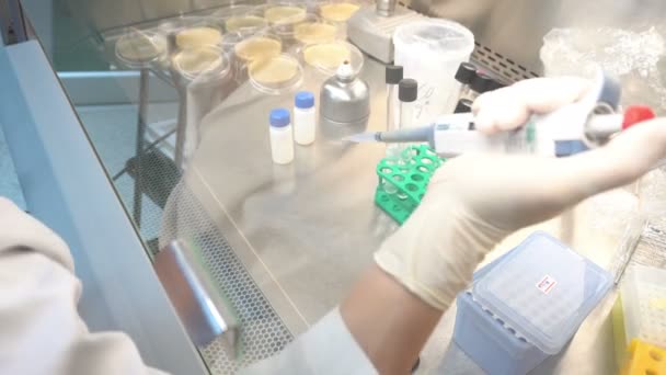 Cientista Trabalhando Laboratório — Vídeo de Stock