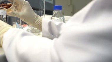 Laboratuvarda çalışan kadın bilim adamı.
