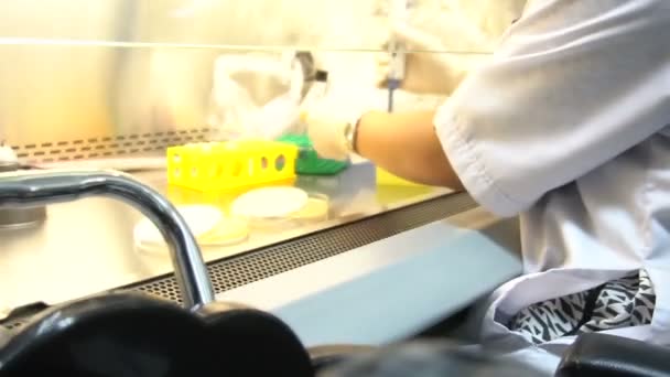 Female Scientist Making Tests Laboratory — Stock Video