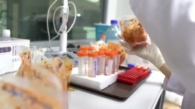 Laboratuvarda çalışan kadın bilim adamı.