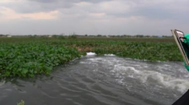 Su temizleme istasyonunun yakınında çalışan kadın ekolojist.