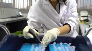 Laboratuvarda çalışan kadın bilim adamı.