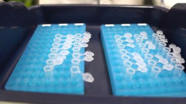 Laboratuvarda çalışan kadın bilim adamı.