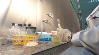 Laboratuvarda çalışan Asyalı bilim adamına yakın çekim. Deneyin sonuçlarını araştıran araştırmacı.