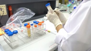 Laboratuvarda çalışan kadın bilim adamı.