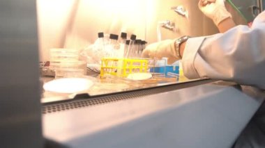 Laboratuvarda çalışan Asyalı bilim adamına yakın çekim. Deneyin sonuçlarını araştıran araştırmacı.