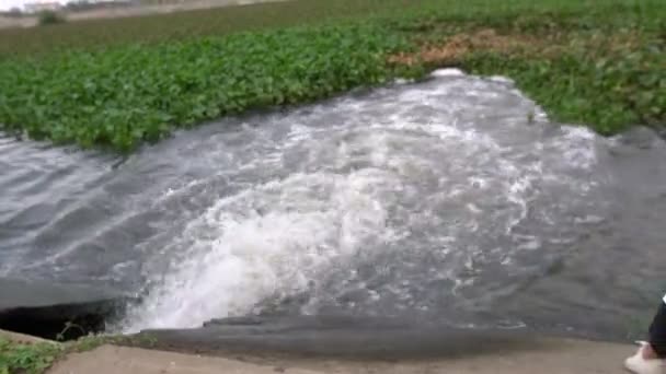 Ecologista Femminile Che Lavora Vicino Alla Stazione Pulizia Dell Acqua — Video Stock