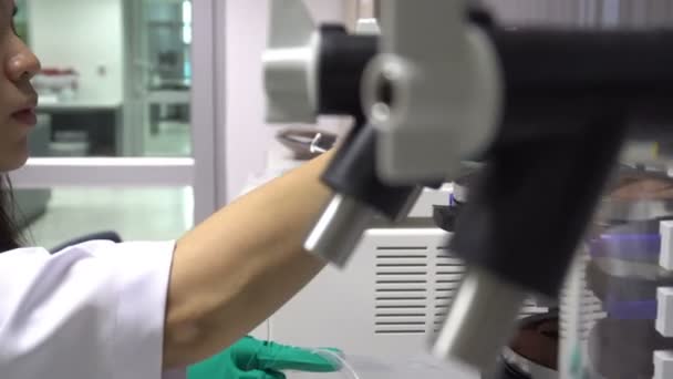 Laboratuvarda Çalışan Kadın Bilim Adamı Ürünleri Geliştirmek Için Deneyler Araştırmalar — Stok video