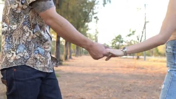 Pareja Encantadora Pasar Tiempo Juntos Parque Durante Día — Vídeo de stock