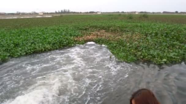 Ecologista Feminina Trabalhando Perto Estação Limpeza Água — Vídeo de Stock