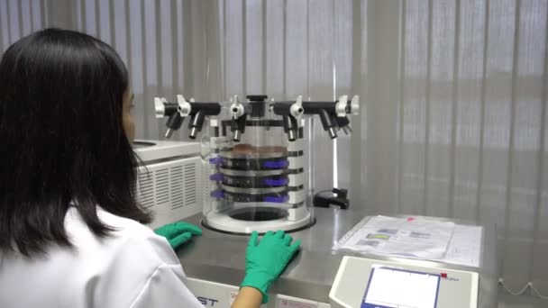 Cientista Sexo Feminino Trabalhando Laboratório Fazendo Experimentos Pesquisas Para Desenvolver — Vídeo de Stock