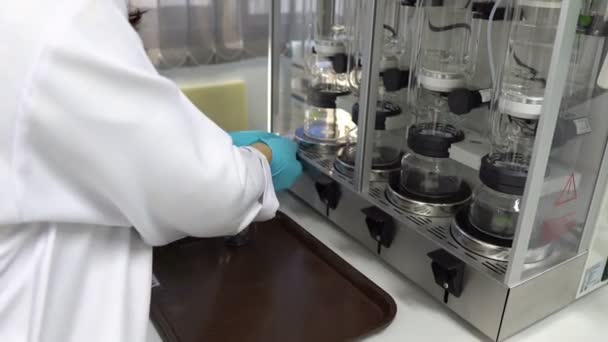 Female Scientist Working Laboratory — Stock Video