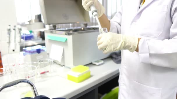 Científica Femenina Trabajando Laboratorio — Vídeos de Stock