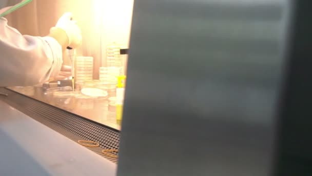 Feche Acima Cientista Asiático Que Trabalha Laboratório Pesquisador Pesquisando Para — Vídeo de Stock