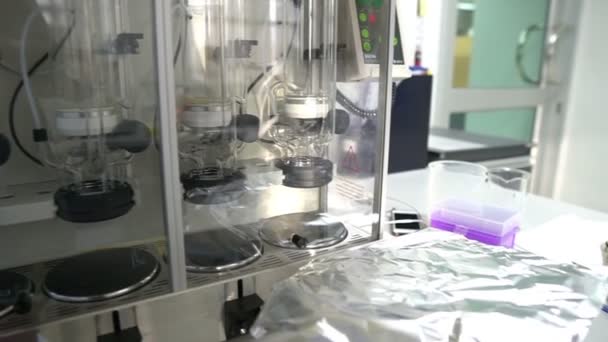 Kobieta Naukowiec Pracująca Laboratorium — Wideo stockowe