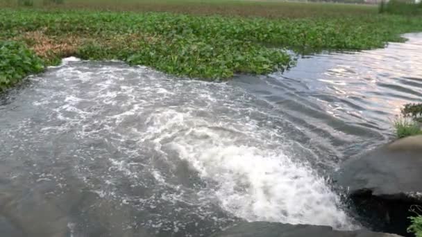 Agua Que Fluye Estación Limpieza — Vídeos de Stock