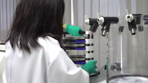 研究室で働く女性科学者は 製品を開発するための実験と研究を行う — ストック動画