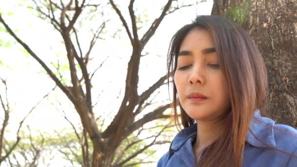 Молодая Азиатская Девушка Позирует Осеннем Парке Днем — стоковое видео