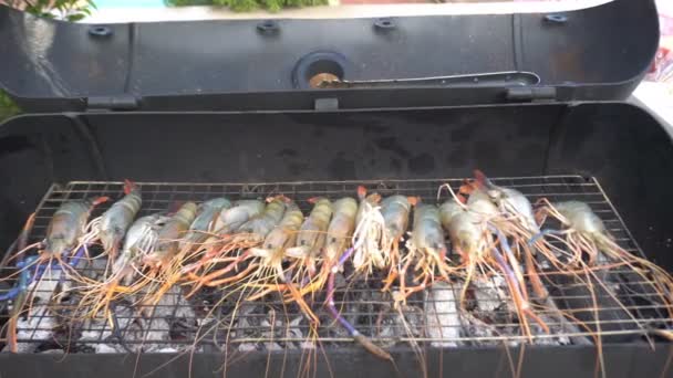 Nahaufnahme Von Garnelen Garnelen Kochen Auf Grill Freien — Stockvideo