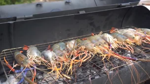 Close Van Garnalen Koken Grill Buiten — Stockvideo