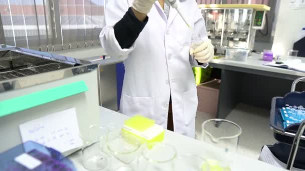 Ženský Vědec Pracující Laboratoři — Stock video