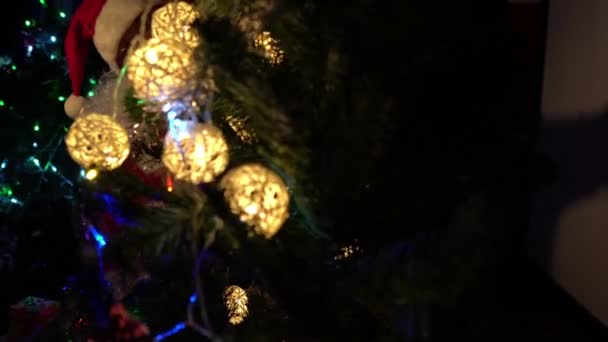 Santa Adornando Árbol Navidad Por Guirnalda Concepto Felices Fiestas — Vídeo de stock