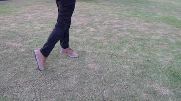 Male Golfer Playing Golf Grassy Field — Stock Video