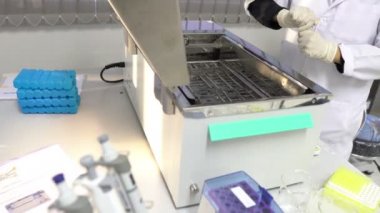 Laboratuvarda çalışan kadın bilim adamı.