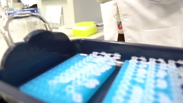 Científica Femenina Trabajando Laboratorio — Vídeo de stock