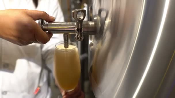 Φρέσκια Μπύρα Στο Εργοστάσιο Ζυθοποιείο Έννοια — Αρχείο Βίντεο